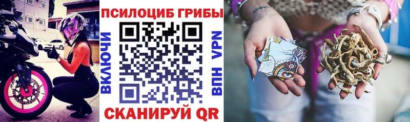 Псилоцибиновые грибы MAGIC MUSHROOMS  Кубинка 