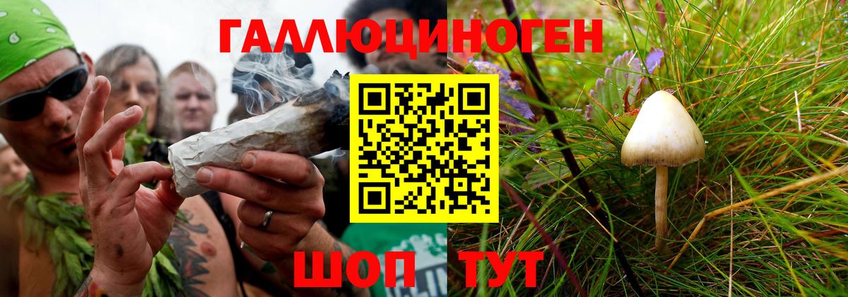 Псилоцибиновые грибы прущие грибы  купить наркотик  Кубинка 
