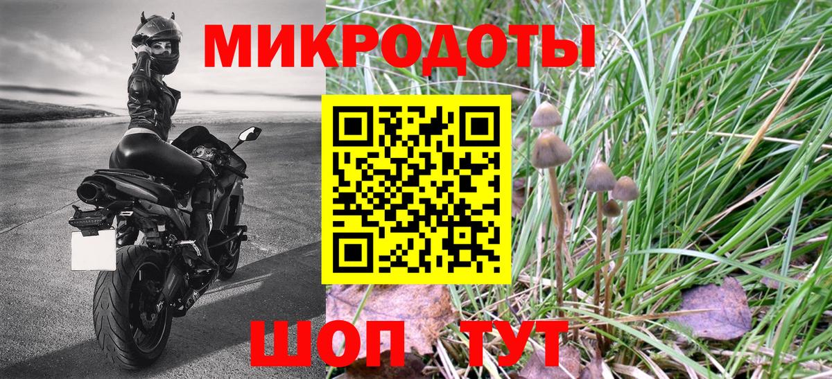 Псилоцибиновые грибы Cubensis  Вход с VPN  Псилоцибиновые грибы MAGIC MUSHROOMS  Кубинка 