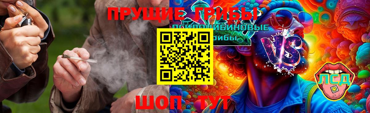 Псилоцибиновые грибы MAGIC MUSHROOMS Кубинка