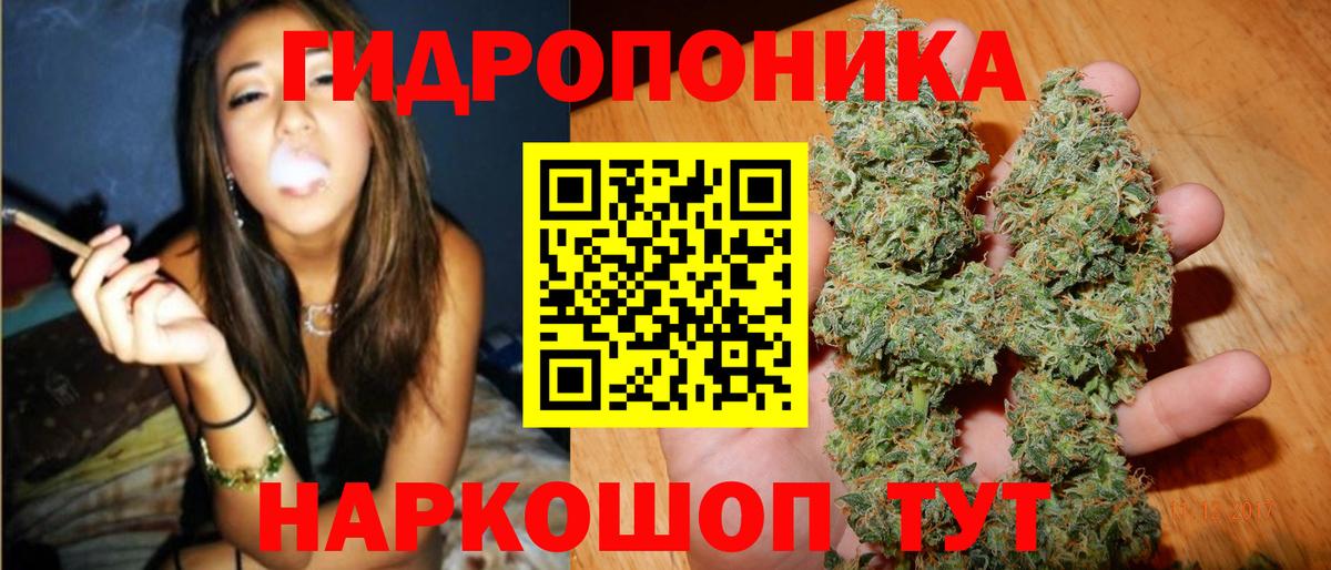 Каннабис ГИДРОПОН Кубинка